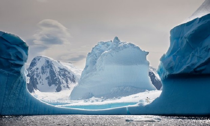 Antarctic peninsula temperatures have fallen, study shows 